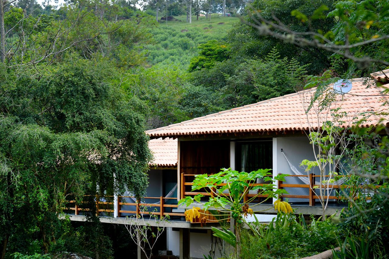 chele-ipe-da-fazenda-capoava