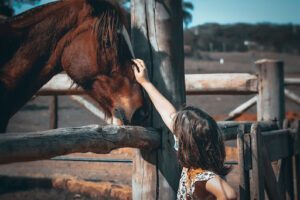 A importância da interação de crianças com animais