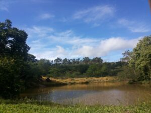 A importância da preservação da natureza