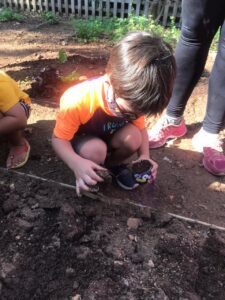 Benefícios da compostagem