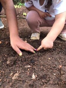 Como saber que a terra do adubo orgânico está pronta?