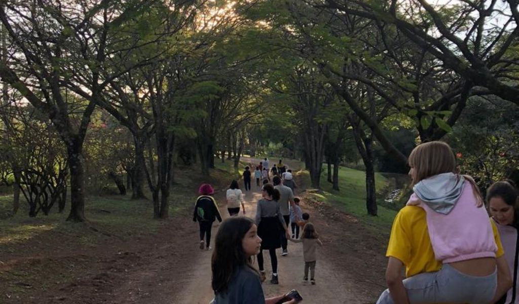 Ampliar o contato das crianças com a natureza para elas saírem das telas