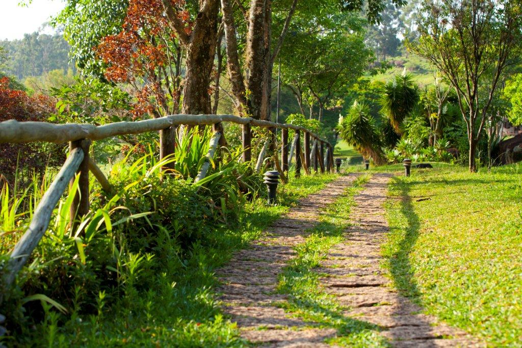 Como utilizar a composição nas fotos da natureza na Fazenda Capoava