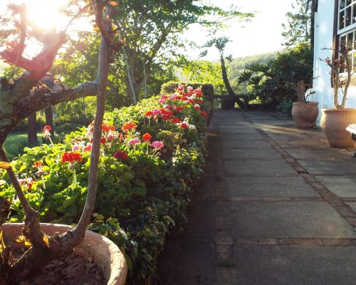 bg-header-blog