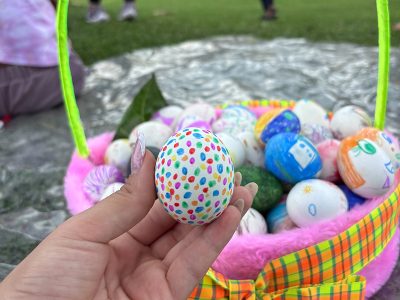 fazenda-caca-aos-ovos